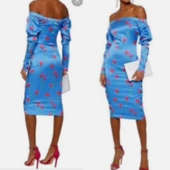 Caroline Constas Pre-fall NY 2019 Collection Dania Lilly Dress in Blue XS $598 - Picture 2 of 12